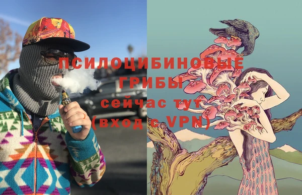 дживик Лагань