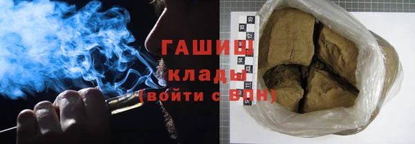 мдпв Ладушкин
