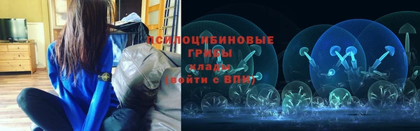 дживик Лагань