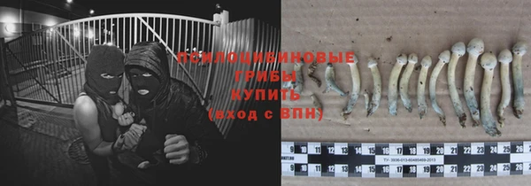 мдпв Ладушкин