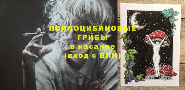 дмт Лиски