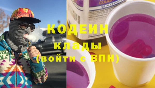 мдпв Ладушкин