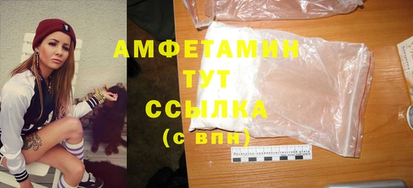 мдпв Ладушкин