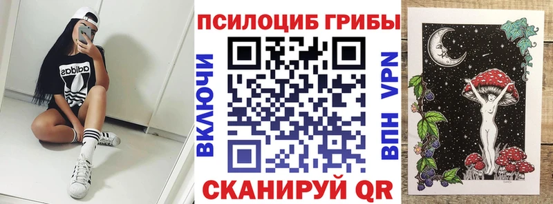 Псилоцибиновые грибы GOLDEN TEACHER  блэк спрут ссылки  Шелехов 